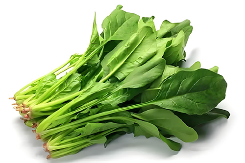 肾病最怕三个菜，肾阳虚最怕最忌3种蔬菜
