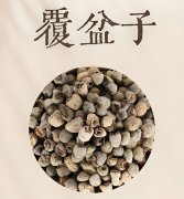覆盆子泡水喝对男性功效和作用