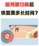 前列腺切除后如何恢复性功能