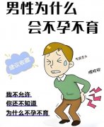 男性不育常见原因有哪些