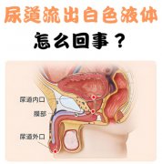 男性生殖流脓是什么原因