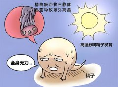 男性不育症是什么原因造成的