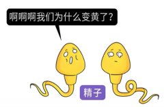 精液发黄会影响生育么
