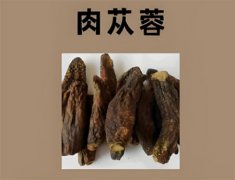 肉苁蓉泡水喝能提高性功能吗