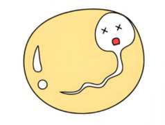 精液有果冻状颗粒怎么回事 应该做什么检查