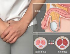 男人勃不起来会恢复吗