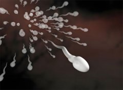 男性弱精能怀孕吗