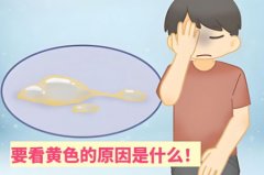 精液发黄会影响受孕吗