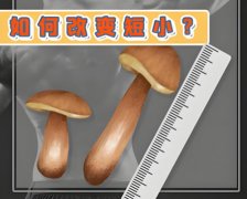 男人短小可以治好吗