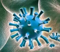 男性感染hpv对身体有什么影响吗