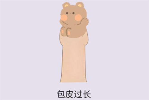 包皮太长了有什么影响