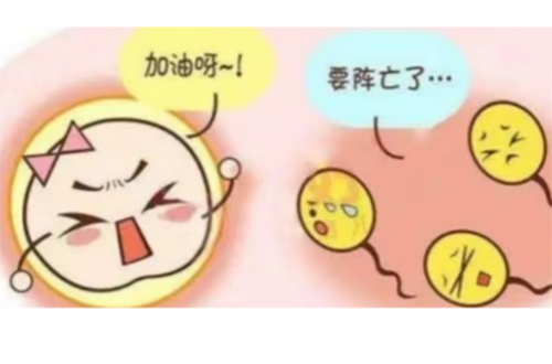 精活力低是什么原因