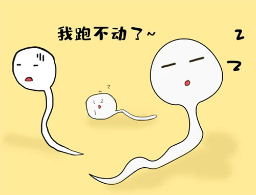 精活力多少才正常