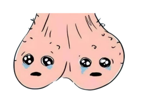 睾丸炎是怎么引起的